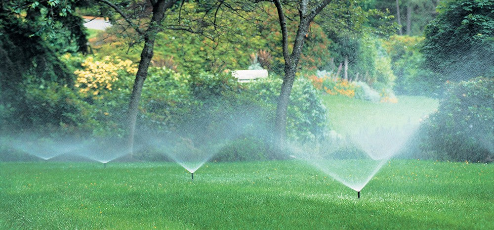 Sprinklers watering lawn.