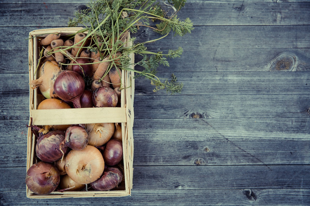 Creating a Fall Vegetable Garden