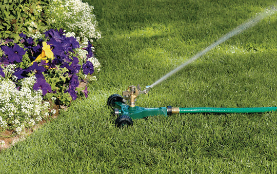 Half inch brass impact sprinkler on green metal wheel base. Attached to a hose and spraying water onto grass. 