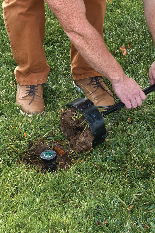 Sod being removed from the ground after being cut with a seven inch sprinkler donut sod cutter. 